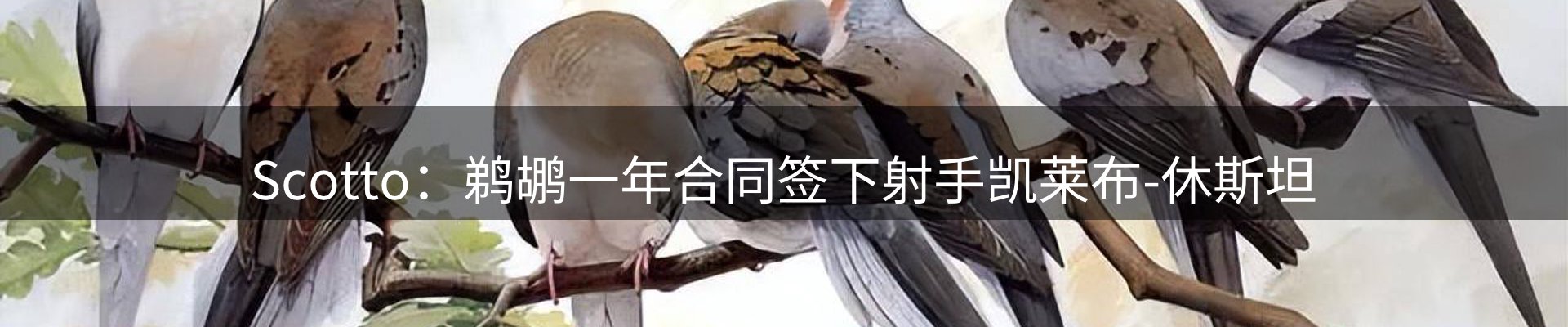 内页banner